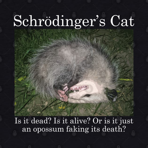 Schrodinger's Cat / Opossum by giovanniiiii